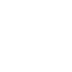 aegon copia