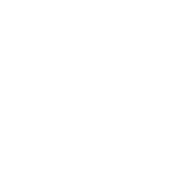 fitbit copia