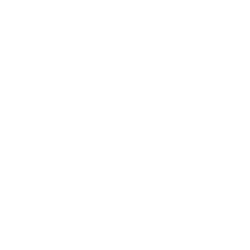 intel copia