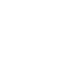 land_rover-removebg-preview copia